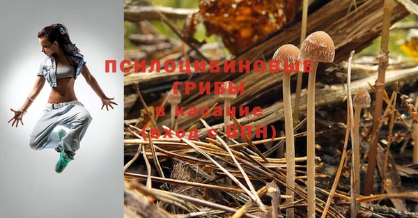 альфа пвп Нея