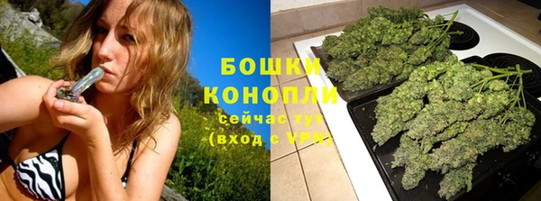PSILOCYBIN Белая Холуница