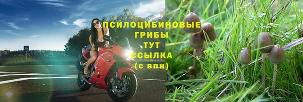 соль курить ск Наволоки