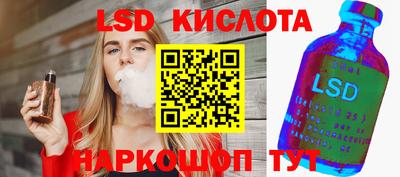 jwh Кингисепп