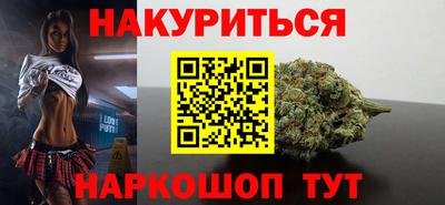 jwh Кингисепп
