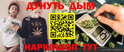 jwh Кингисепп