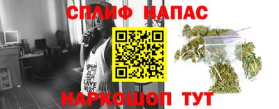 стафф Кимры