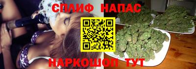 jwh Кингисепп