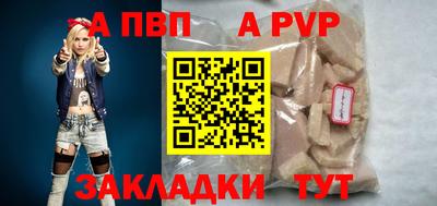 jwh Кингисепп