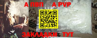 jwh Кингисепп