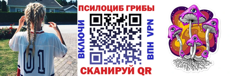 Псилоцибиновые грибы Psilocybine cubensis  Пушкино 