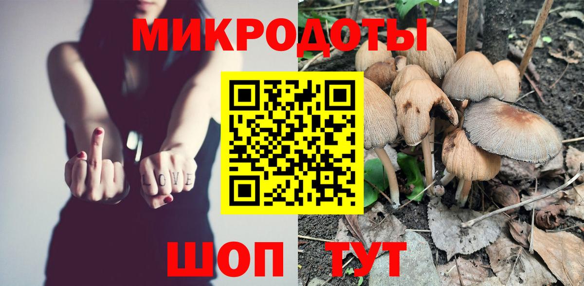 Псилоцибиновые грибы Psilocybine cubensis  Псилоцибиновые грибы мицелий  Пушкино  Вход с VPN 