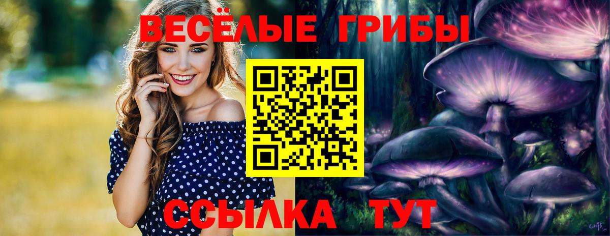 Галлюциногенные грибы прущие грибы Пушкино