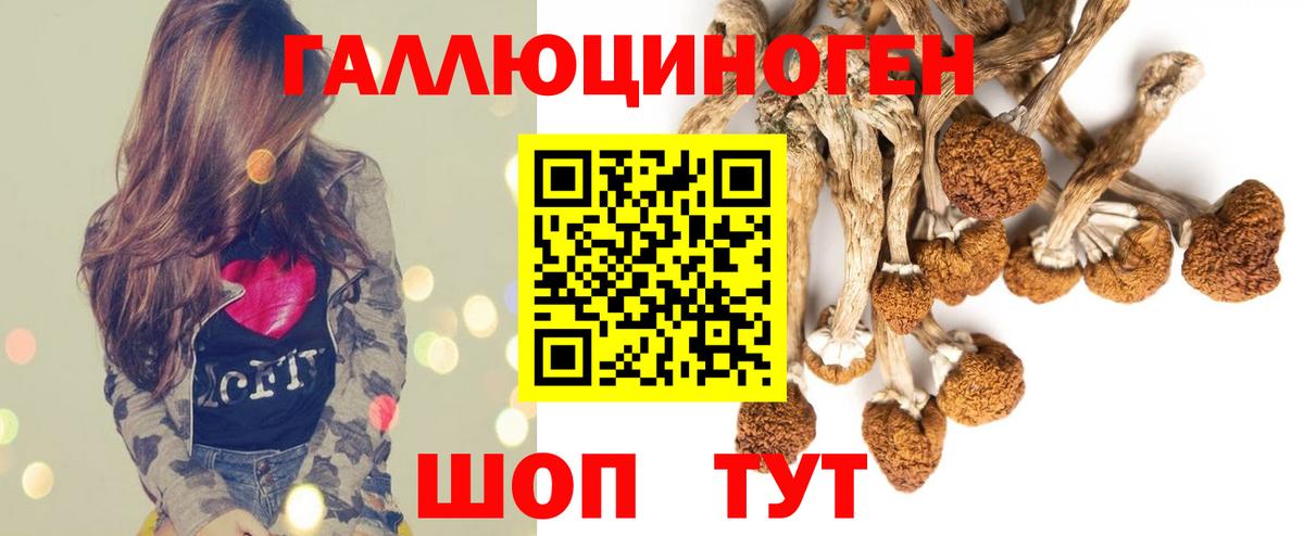 Псилоцибиновые грибы мухоморы Пушкино